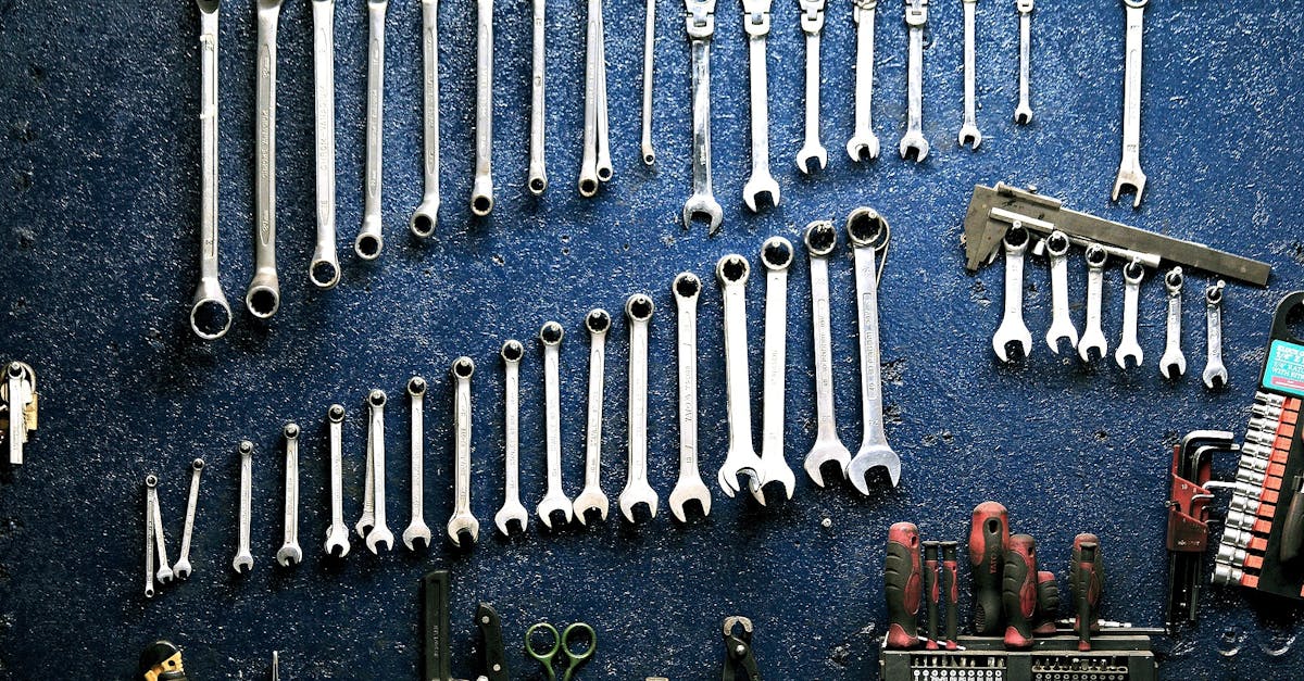 Building Your Career Path