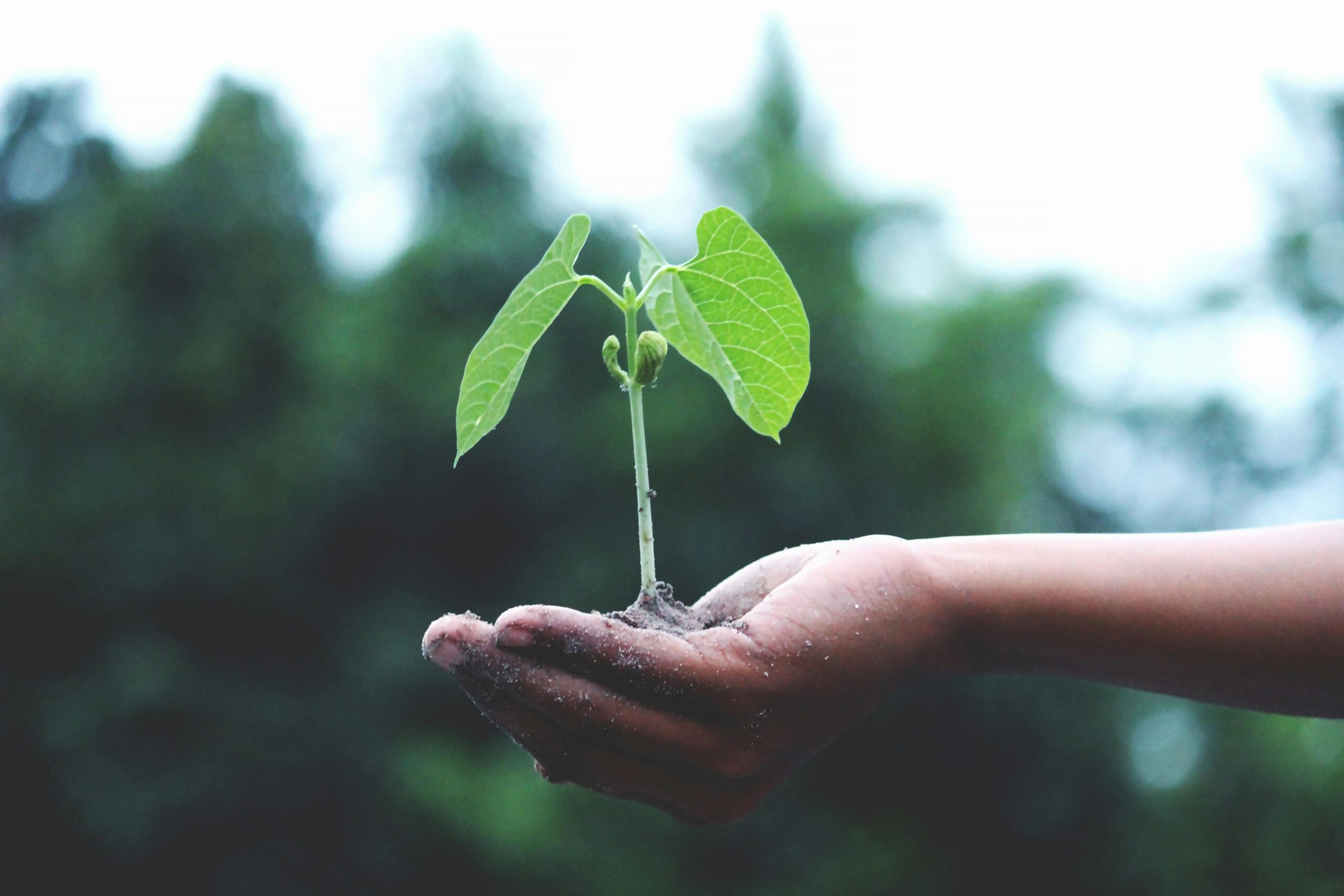 How to Thrive in Gig Economy